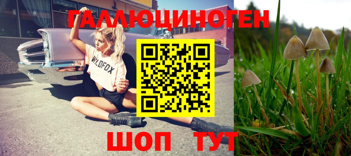 Галлюциногенные грибы ЛСД Видное