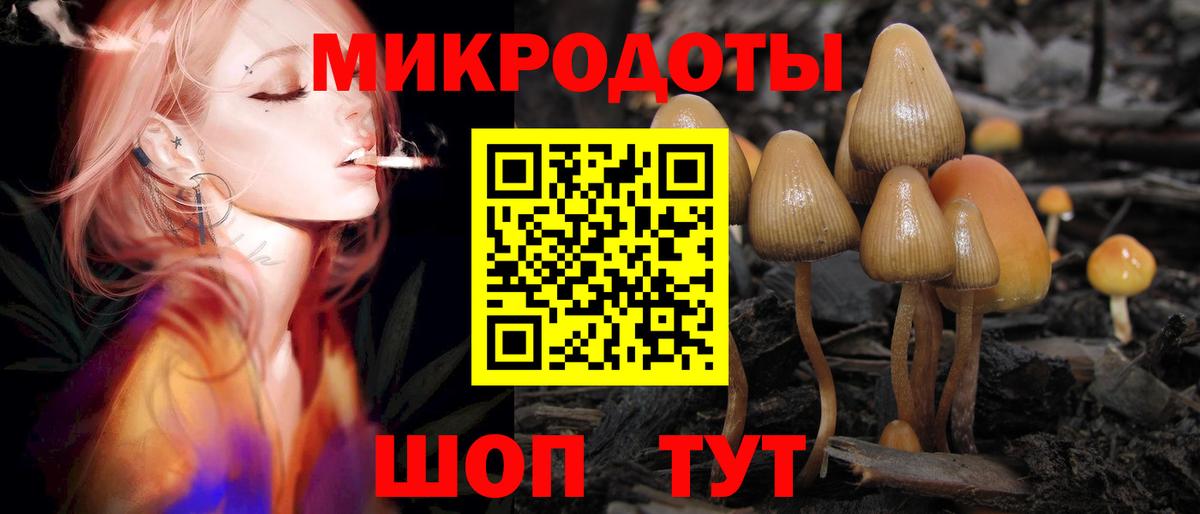 Псилоцибиновые грибы прущие грибы  Вход с VPN  Видное  Псилоцибиновые грибы Magic Shrooms 