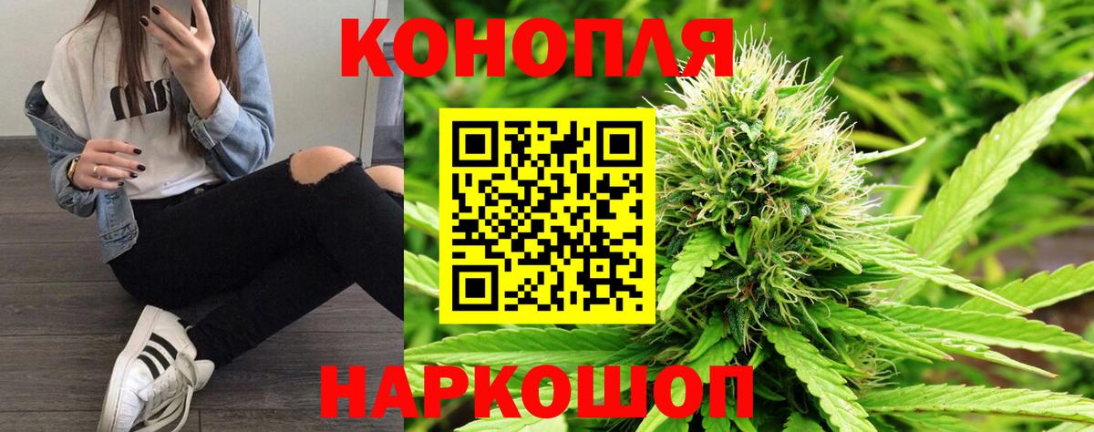 Конопля SATIVA & INDICA  Вход с VPN  Канабис конопля  Видное 
